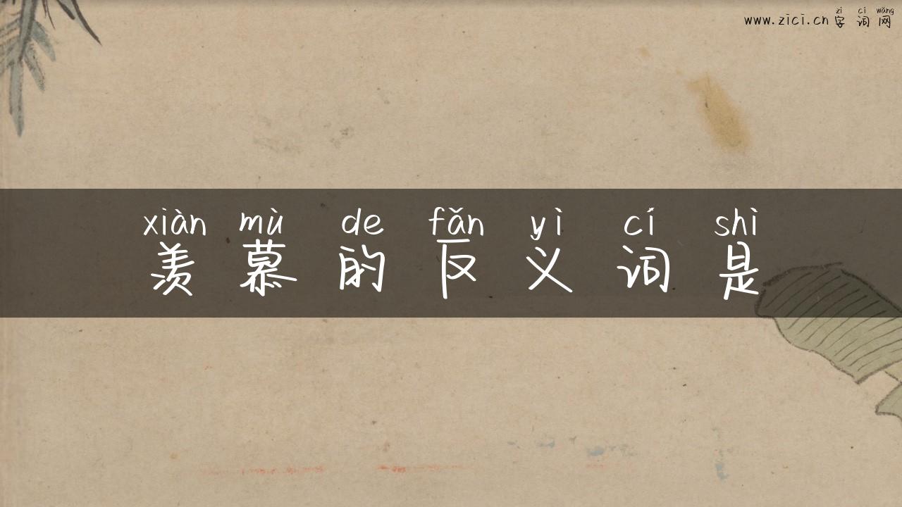 羡慕的反义词是