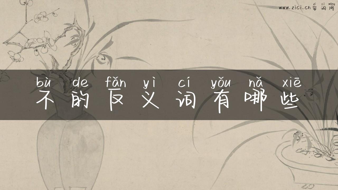 不的反义词有哪些