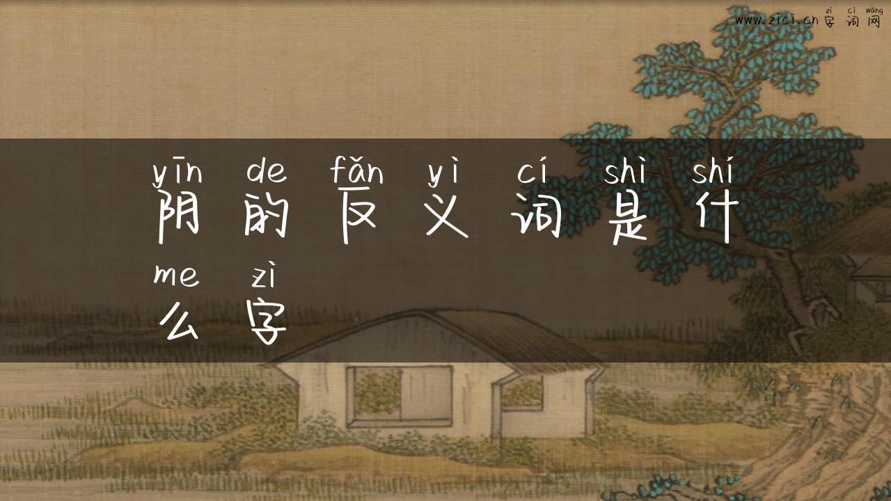 阴的反义词是什么字
