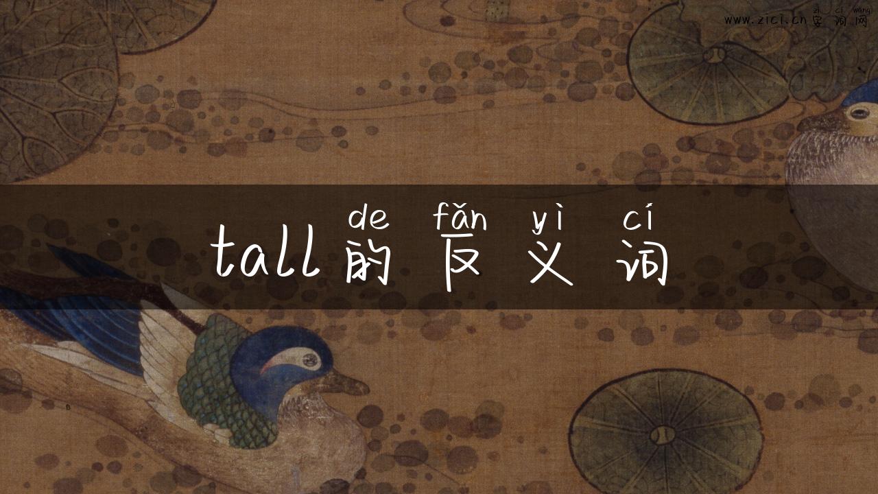 tall的反义词