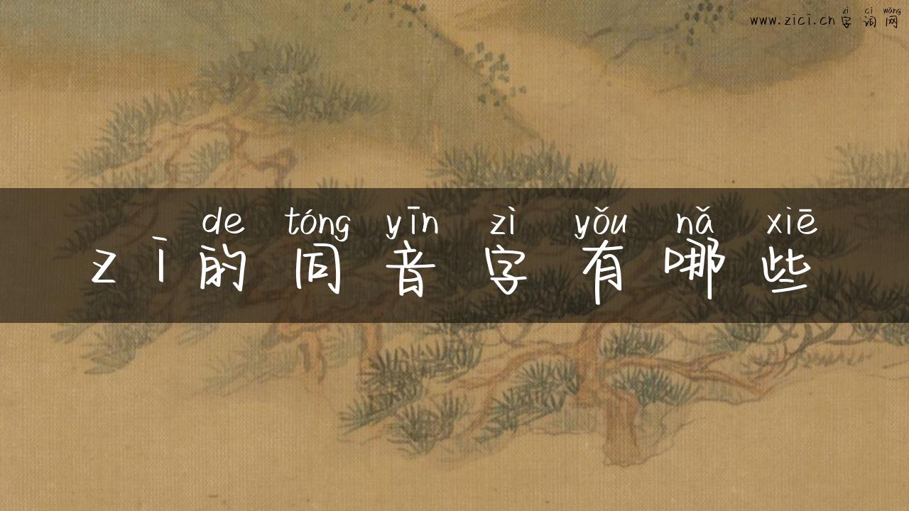 z i的同音字有哪些