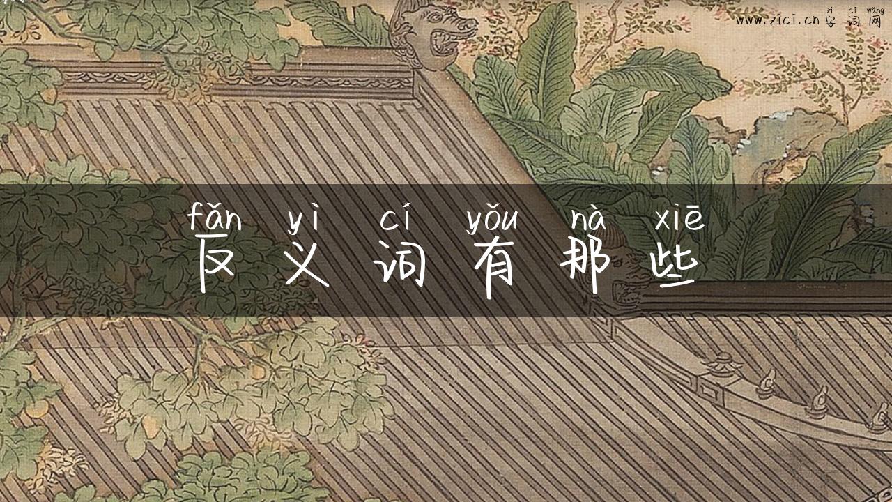 反义词有那些