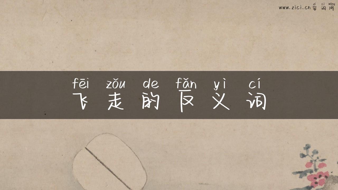 飞走的反义词