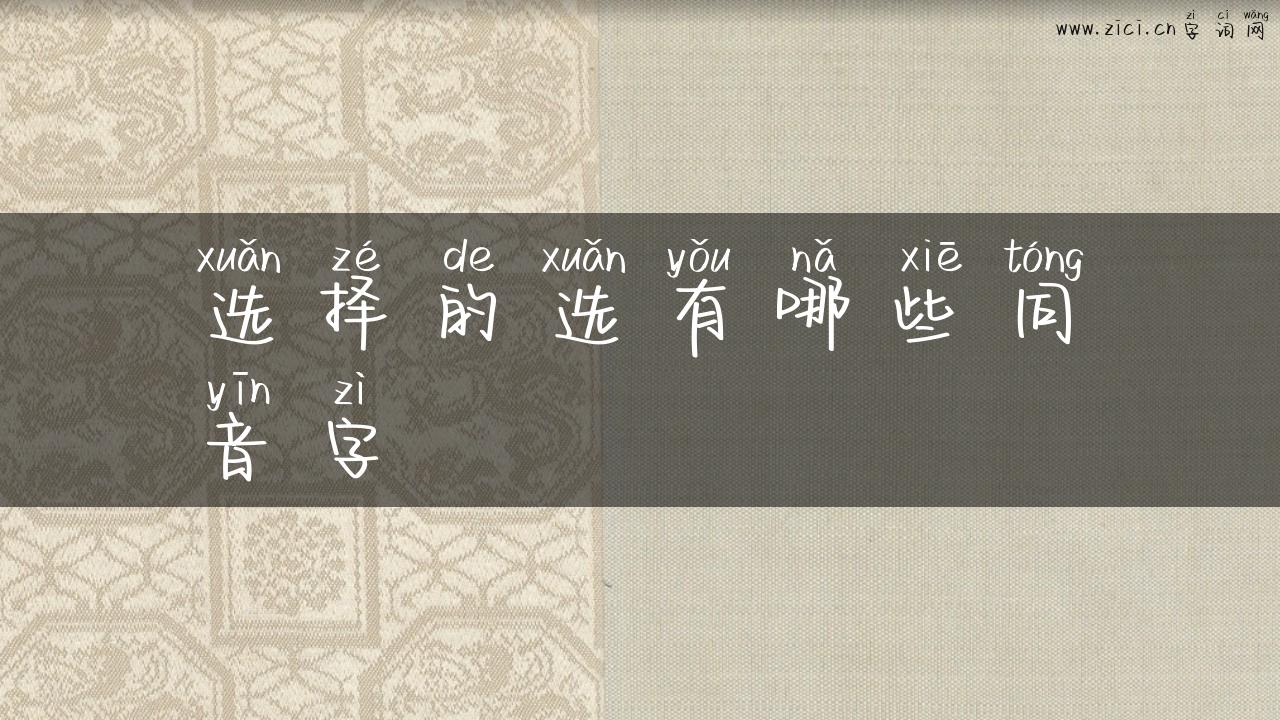 选择的选有哪些同音字