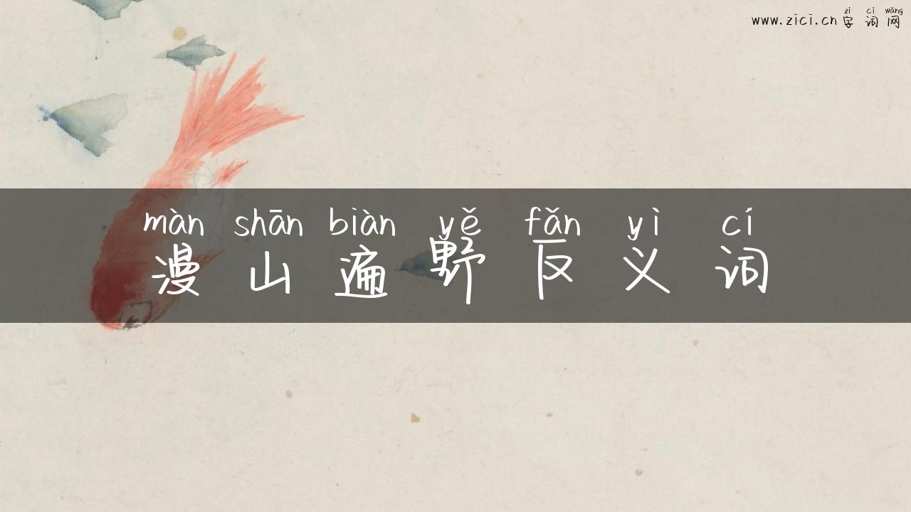 漫山遍野反义词