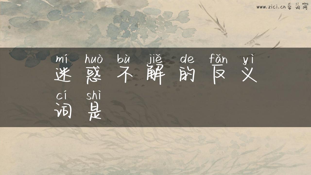 迷惑不解的反义词是
