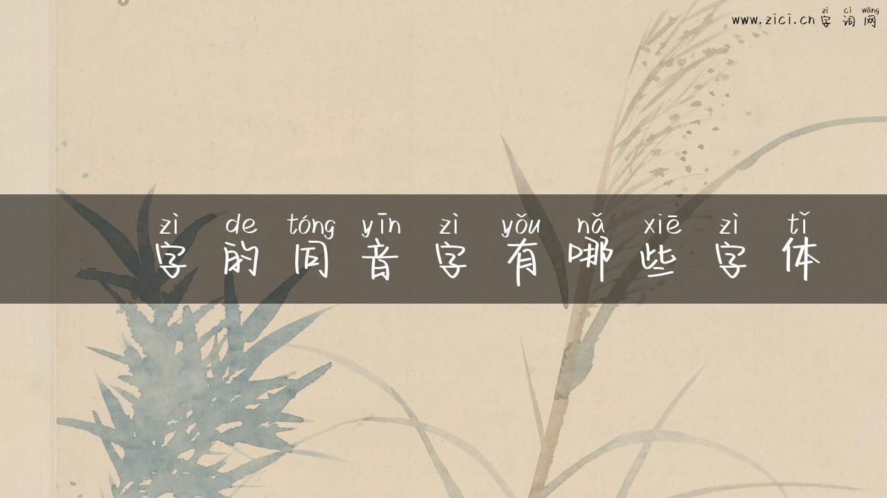衎字的同音字有哪些字体