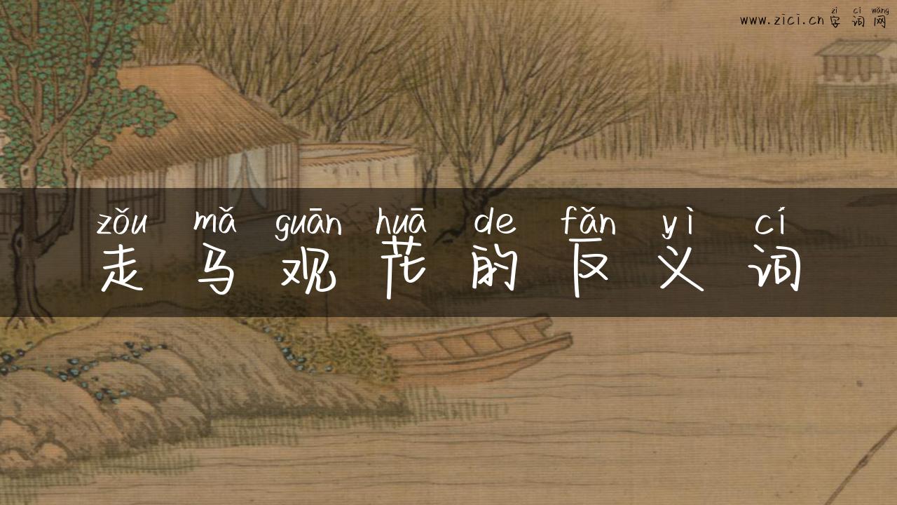 走马观花的反义词