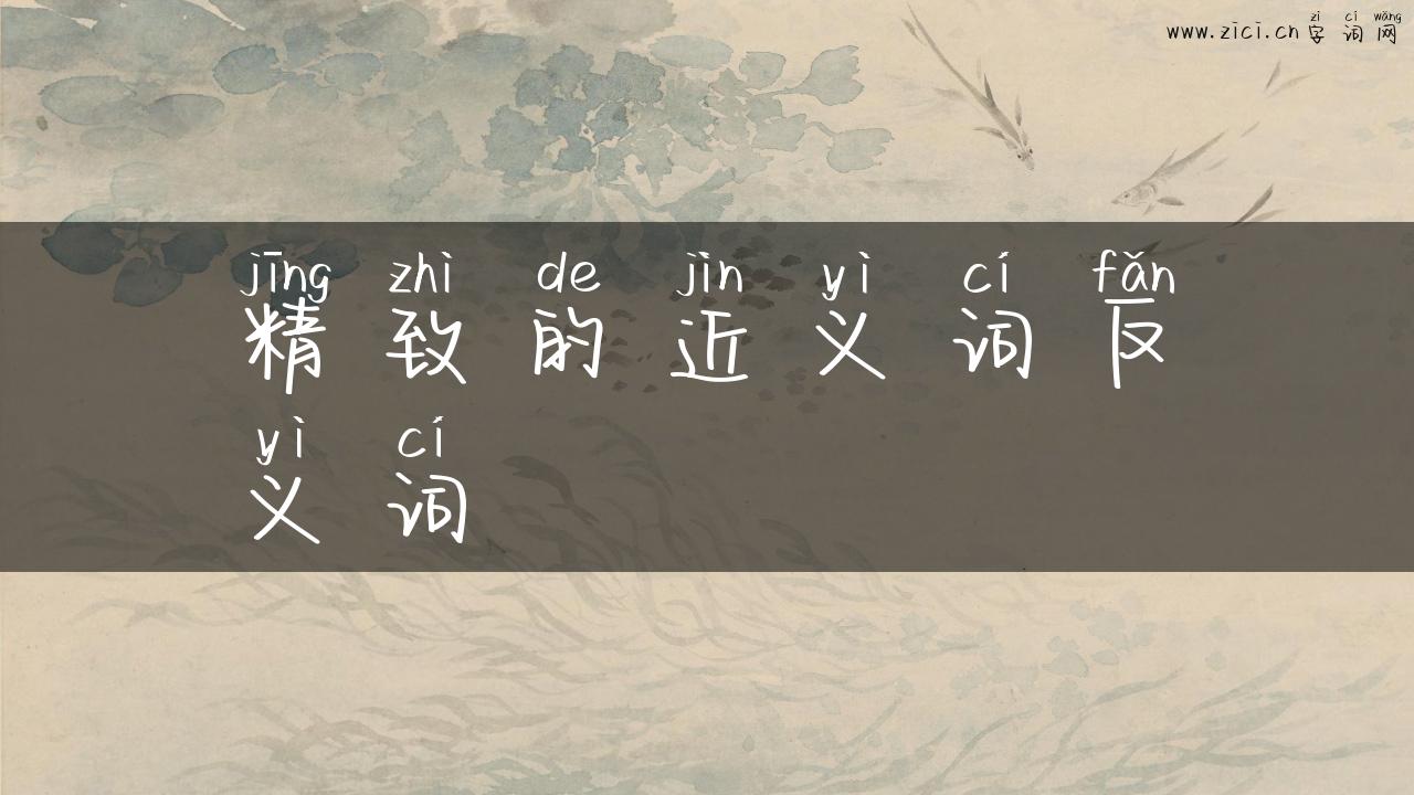 精致的近义词反义词