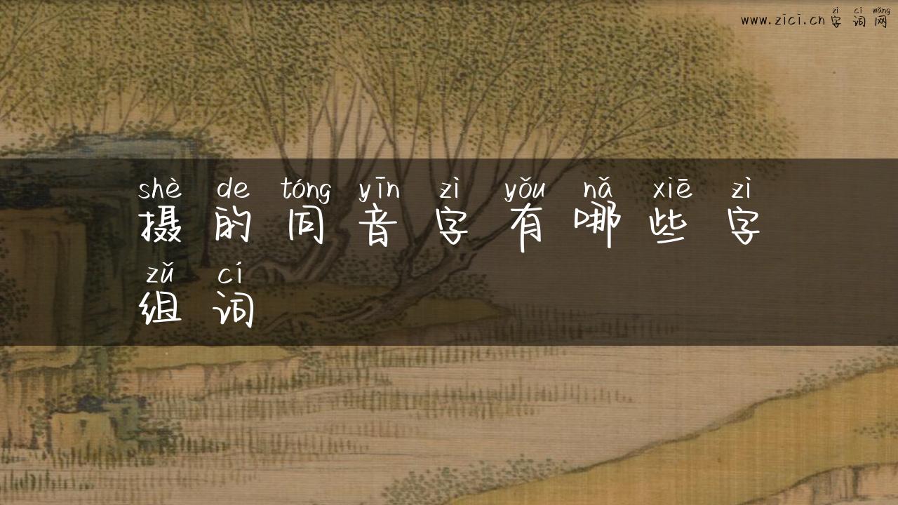 摄的同音字有哪些字组词
