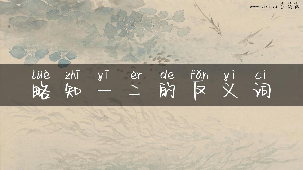略知一二的反义词