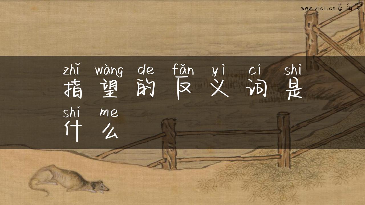 指望的反义词是什么