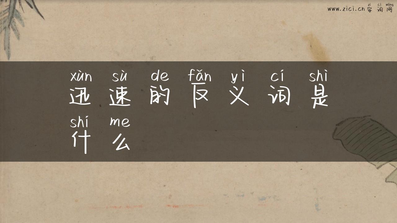 迅速的反义词是什么