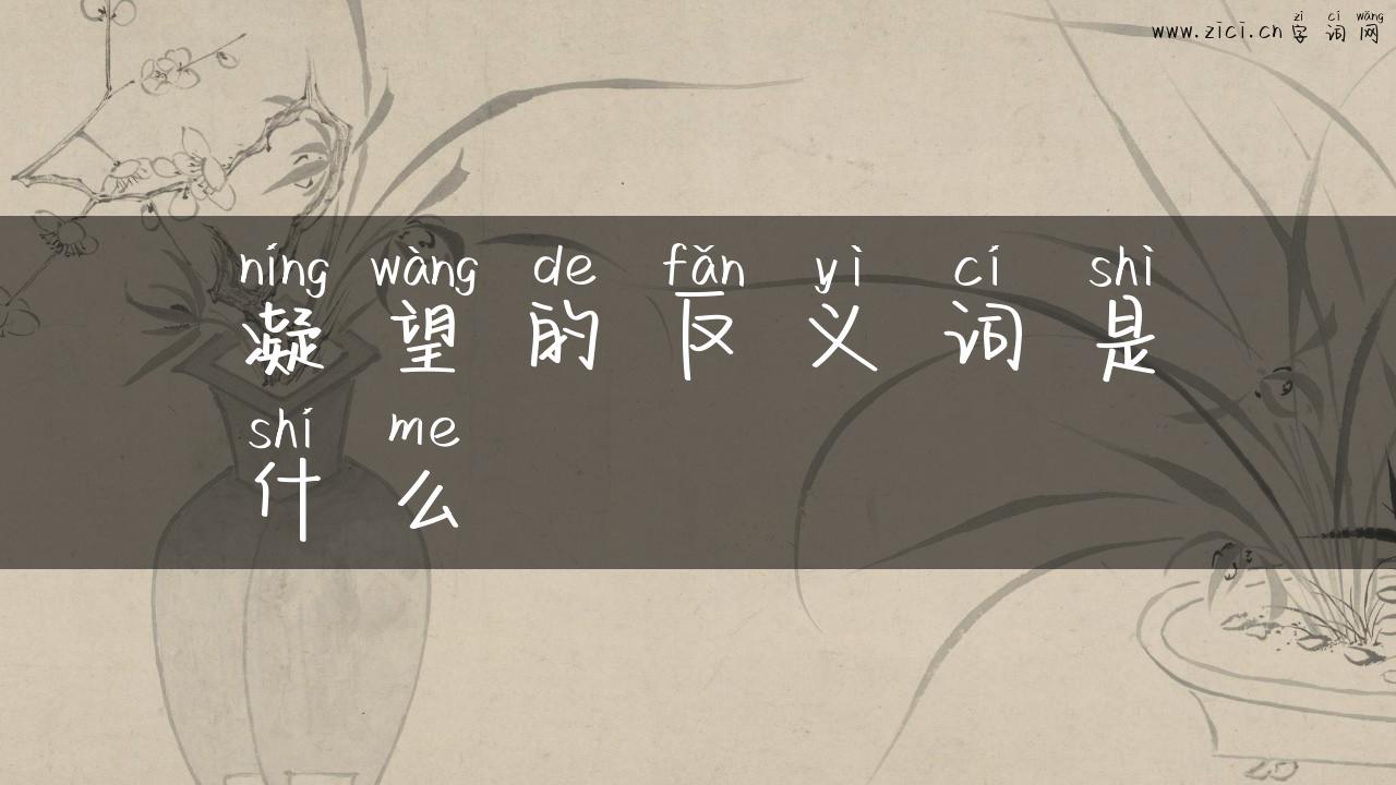 凝望的反义词是什么