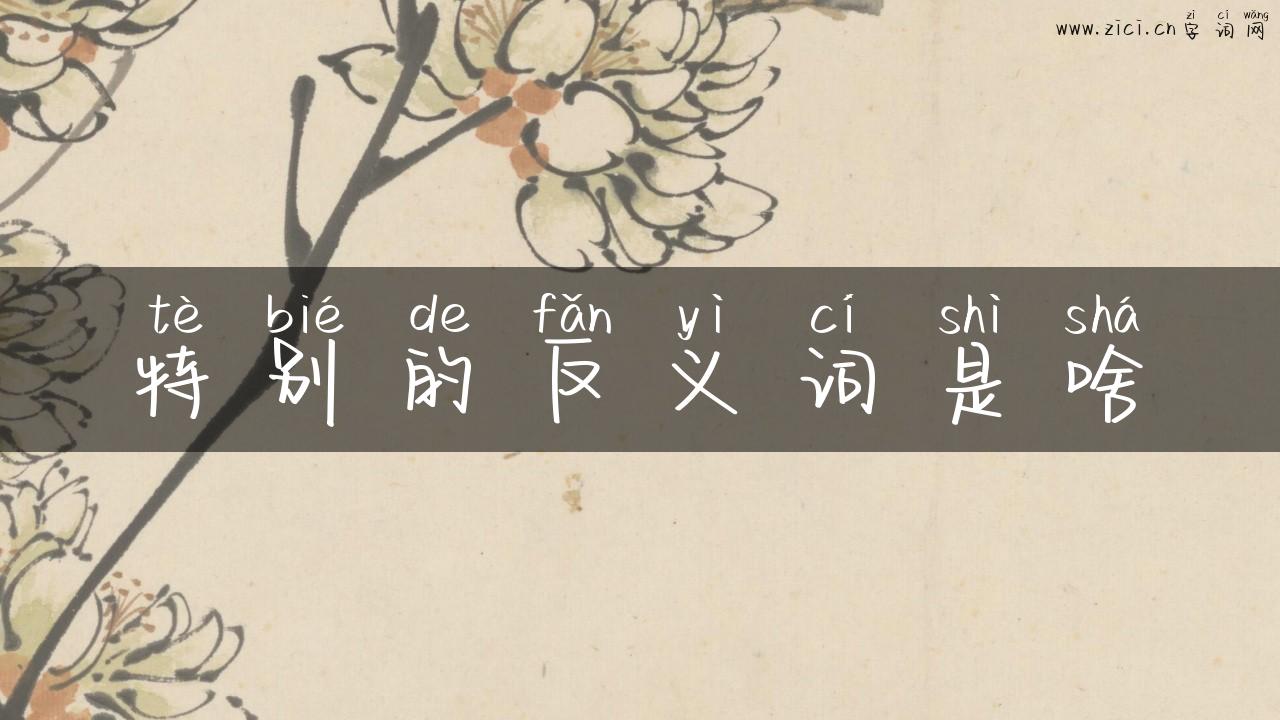 特别的反义词是啥