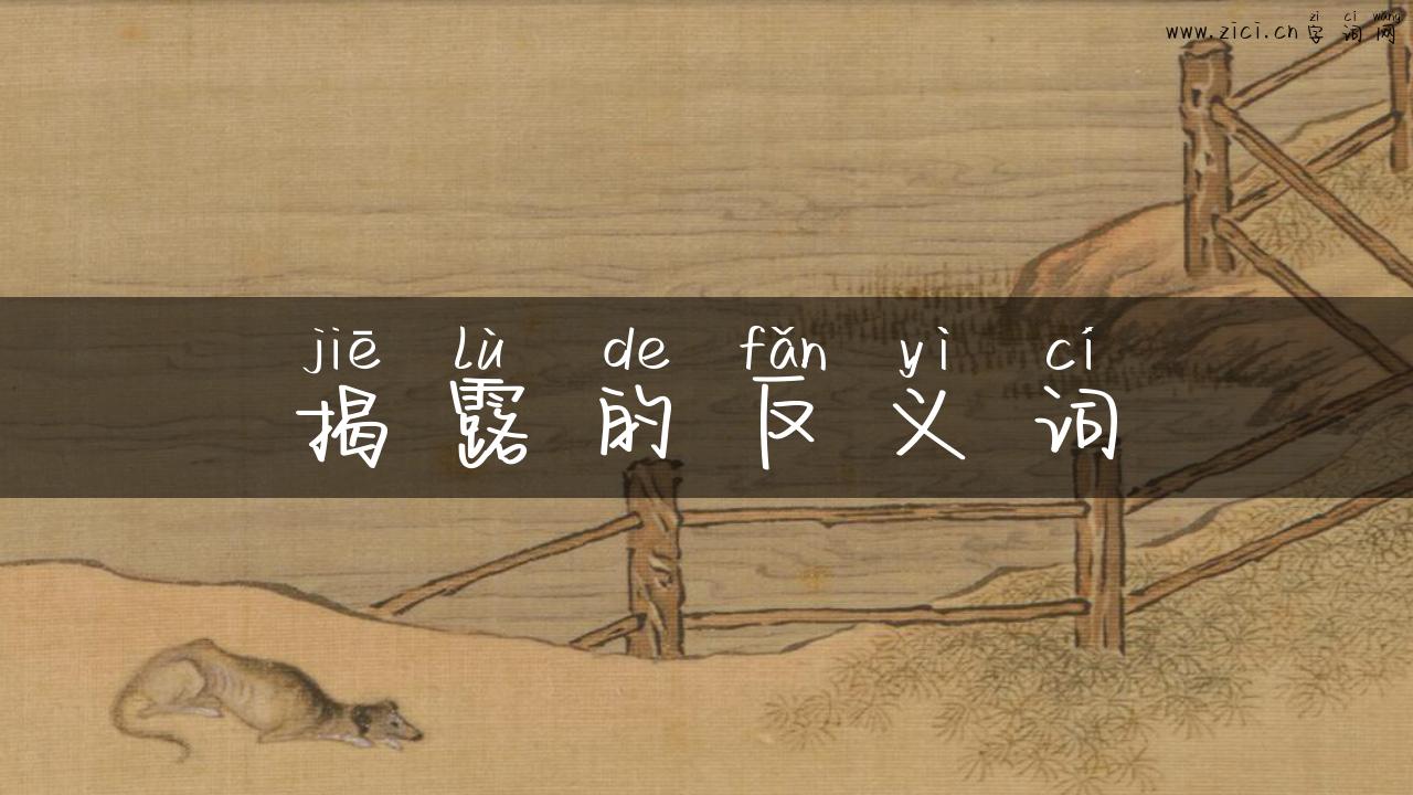 揭露的反义词
