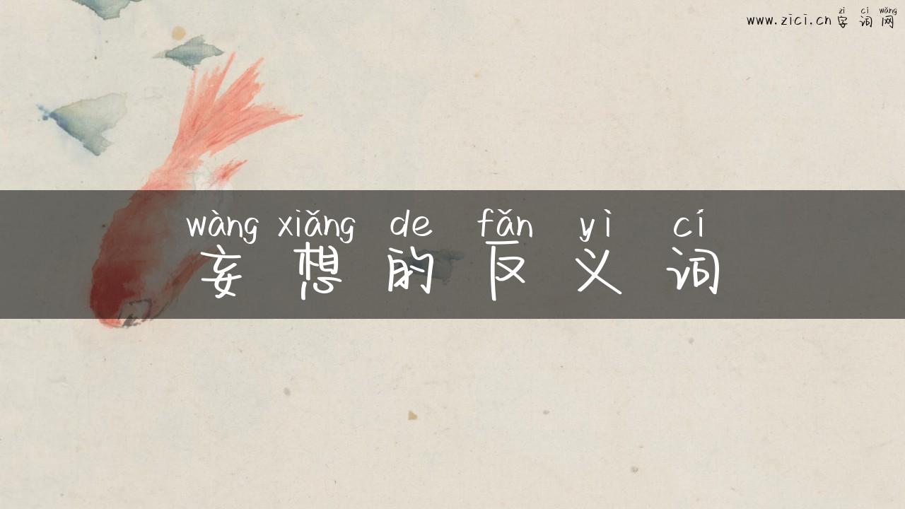 妄想的反义词