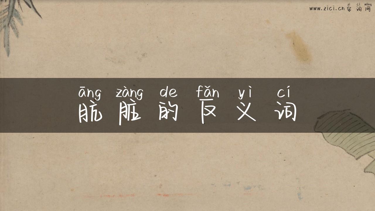 肮脏的反义词