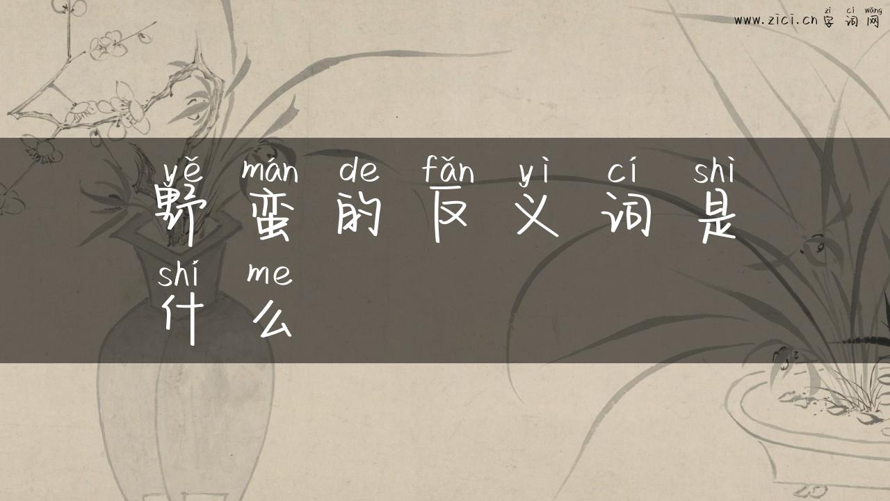 野蛮的反义词是什么