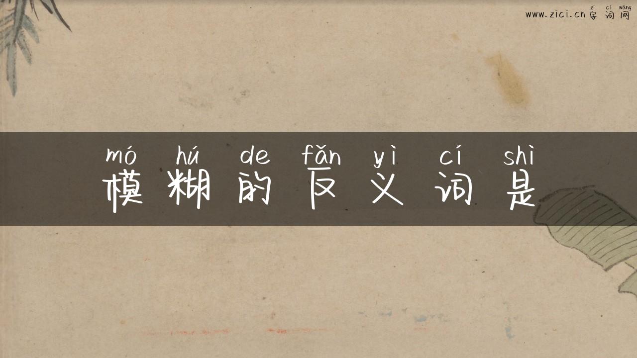 模糊的反义词是