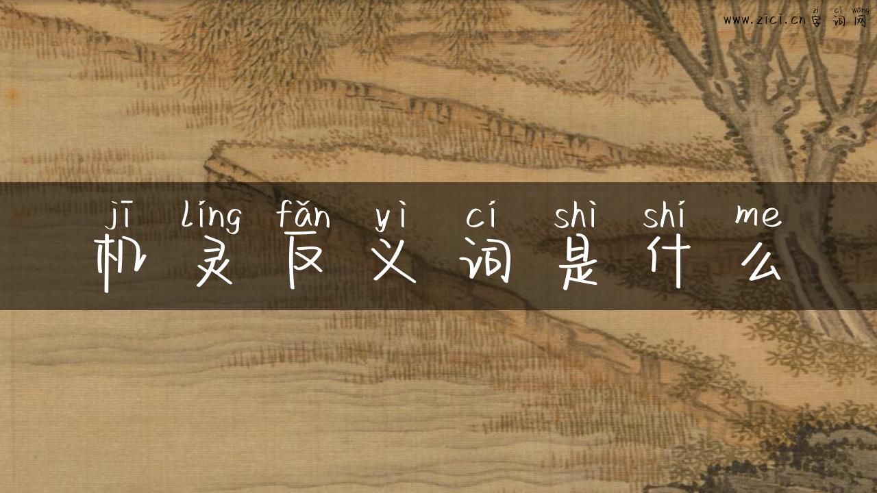 机灵反义词是什么