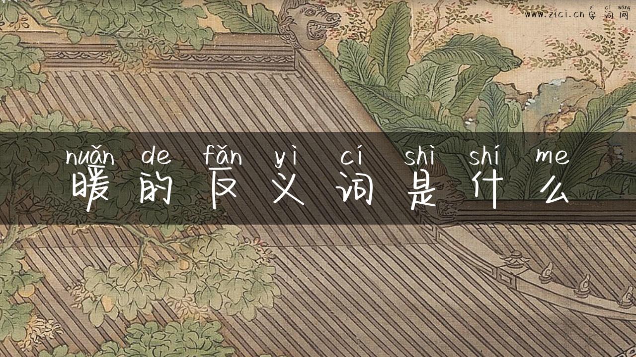 暖的反义词是什么