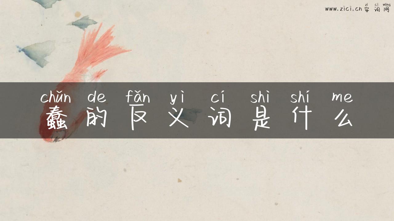 蠢的反义词是什么
