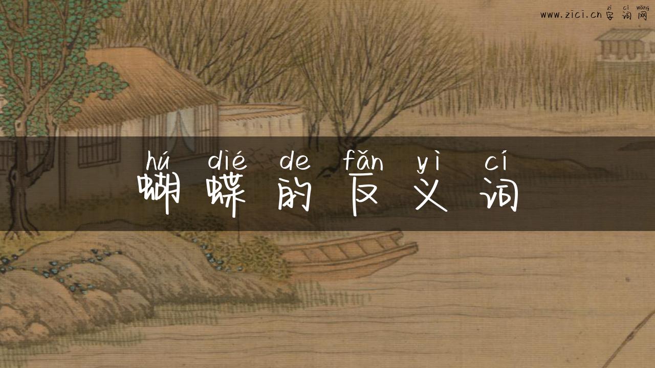 蝴蝶的反义词