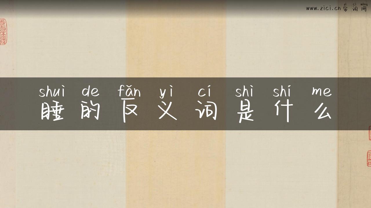 睡的反义词是什么
