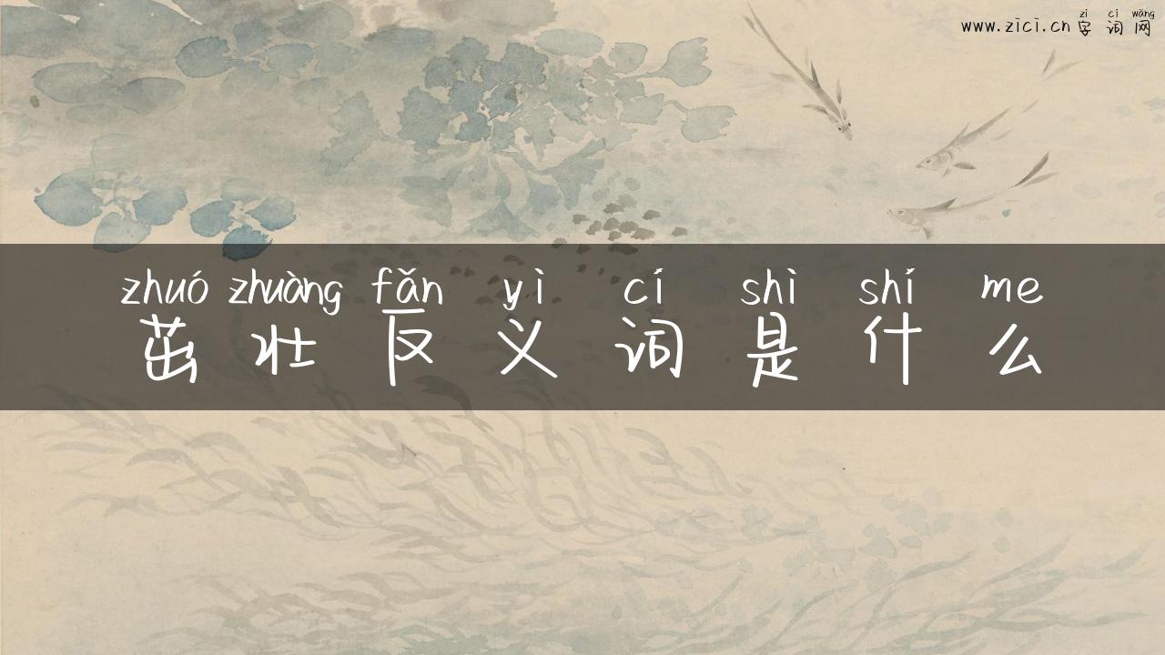 茁壮反义词是什么