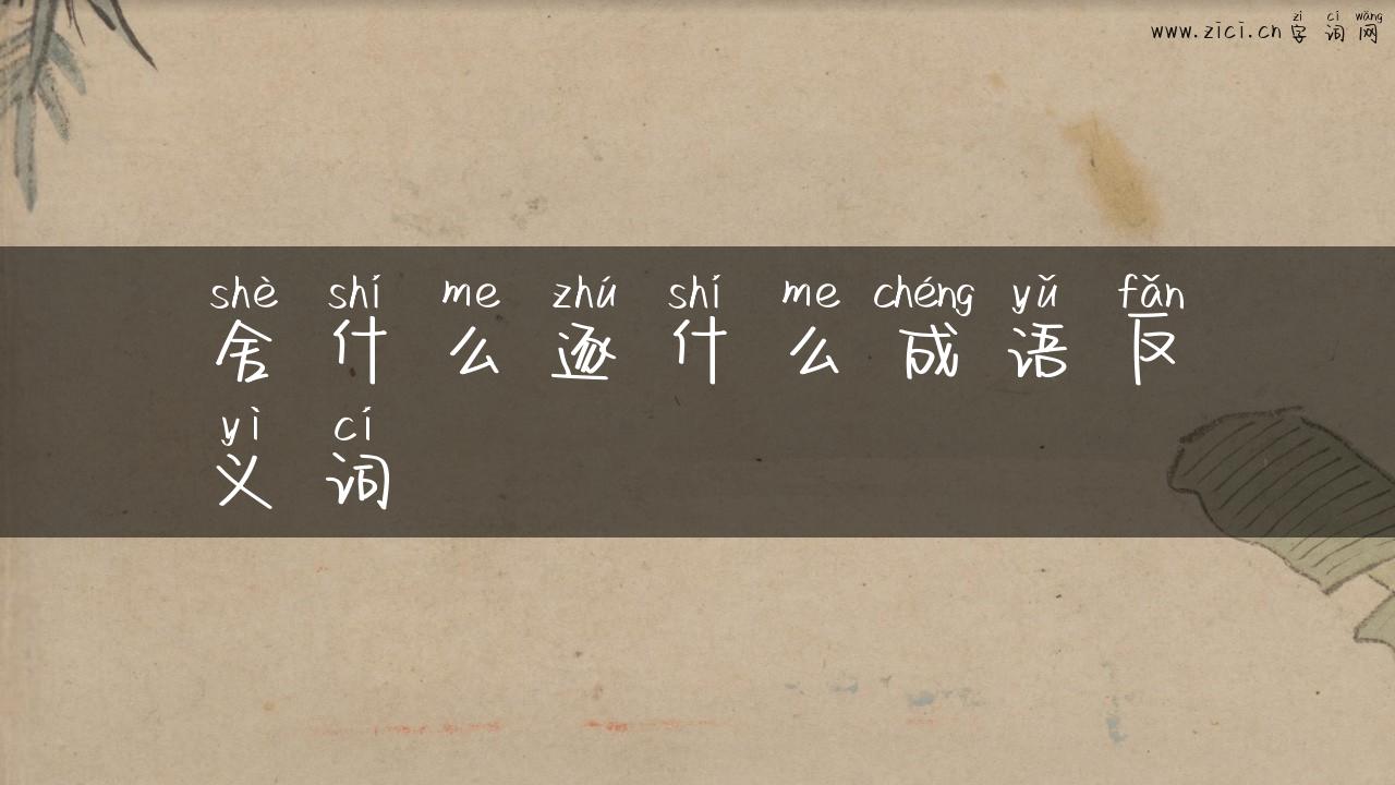 舍什么逐什么成语反义词
