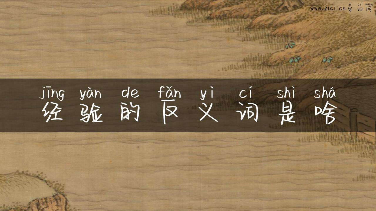 经验的反义词是啥