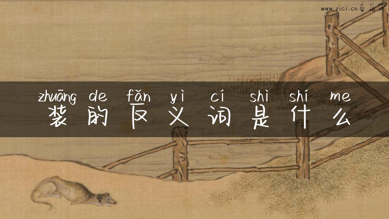 装的反义词是什么
