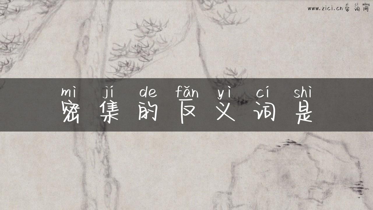 密集的反义词是