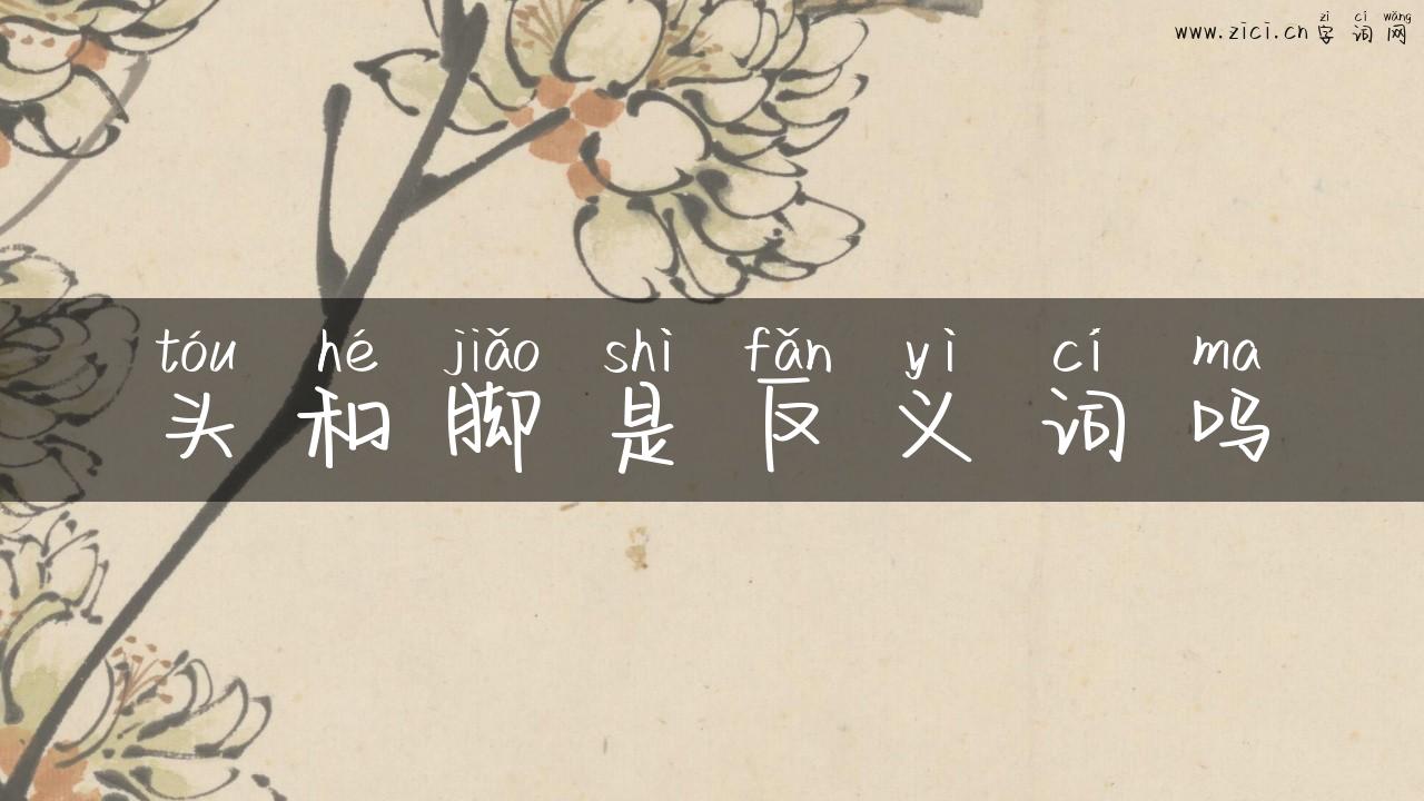 头和脚是反义词吗