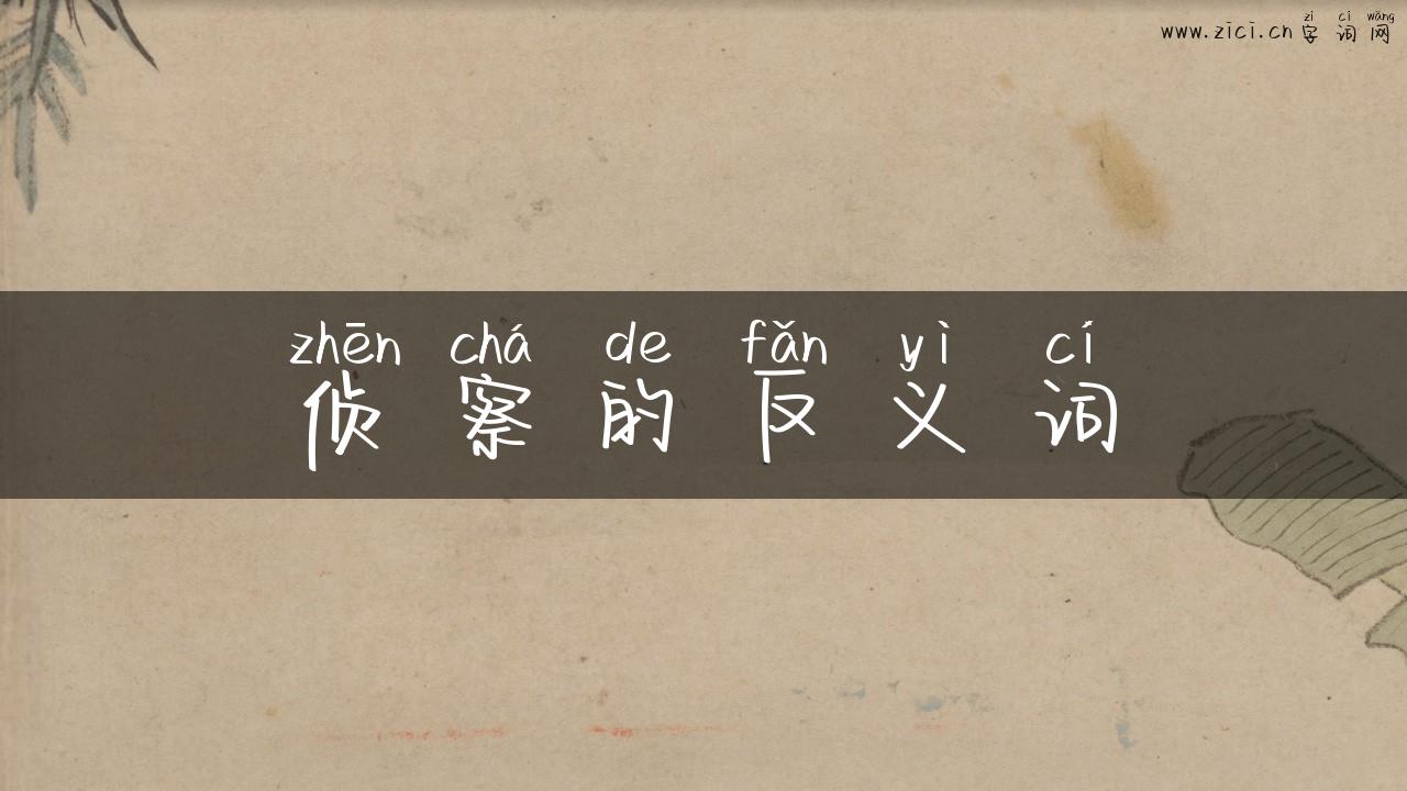 侦察的反义词