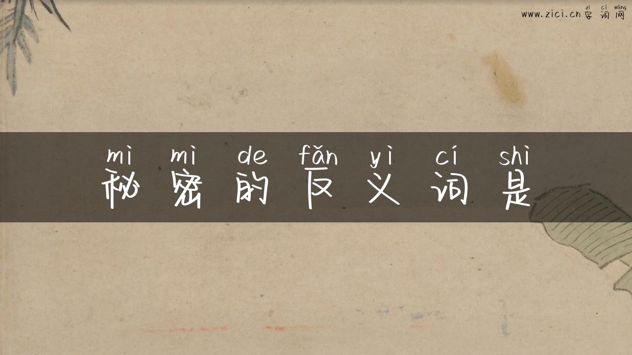 秘密的反义词是