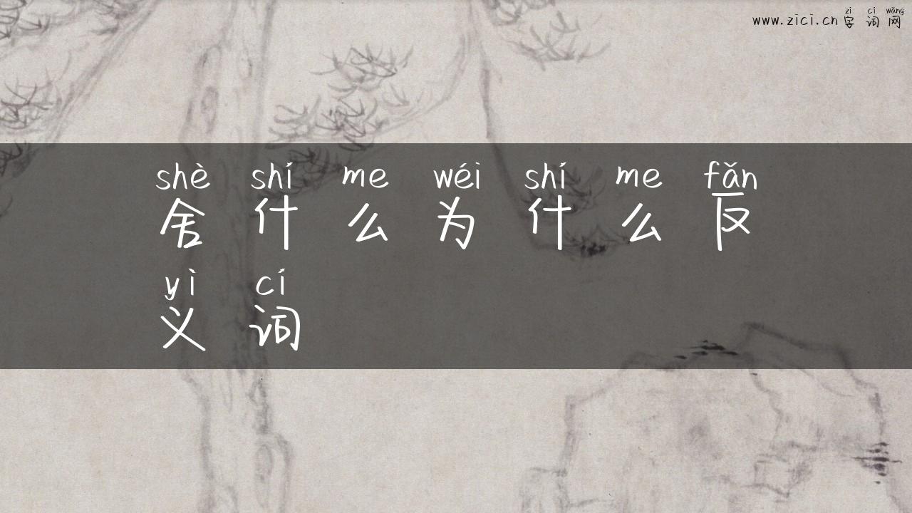 舍什么为什么反义词