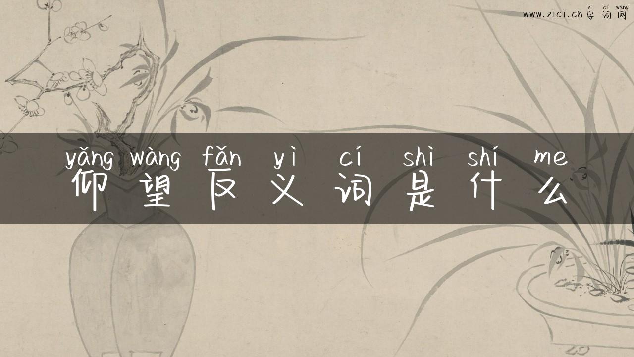 仰望反义词是什么