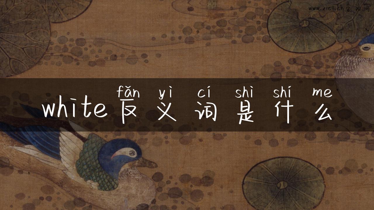 white反义词是什么