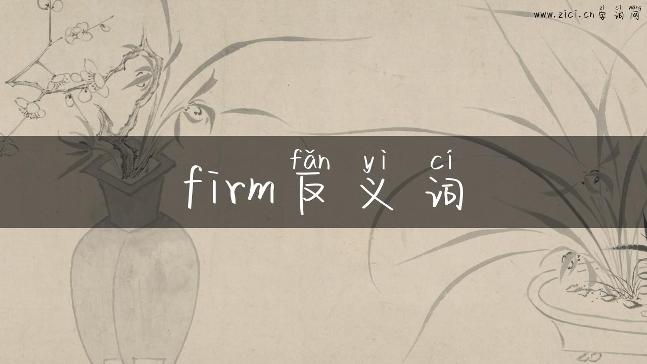 firm反义词