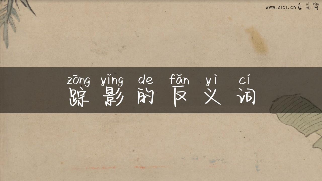 踪影的反义词