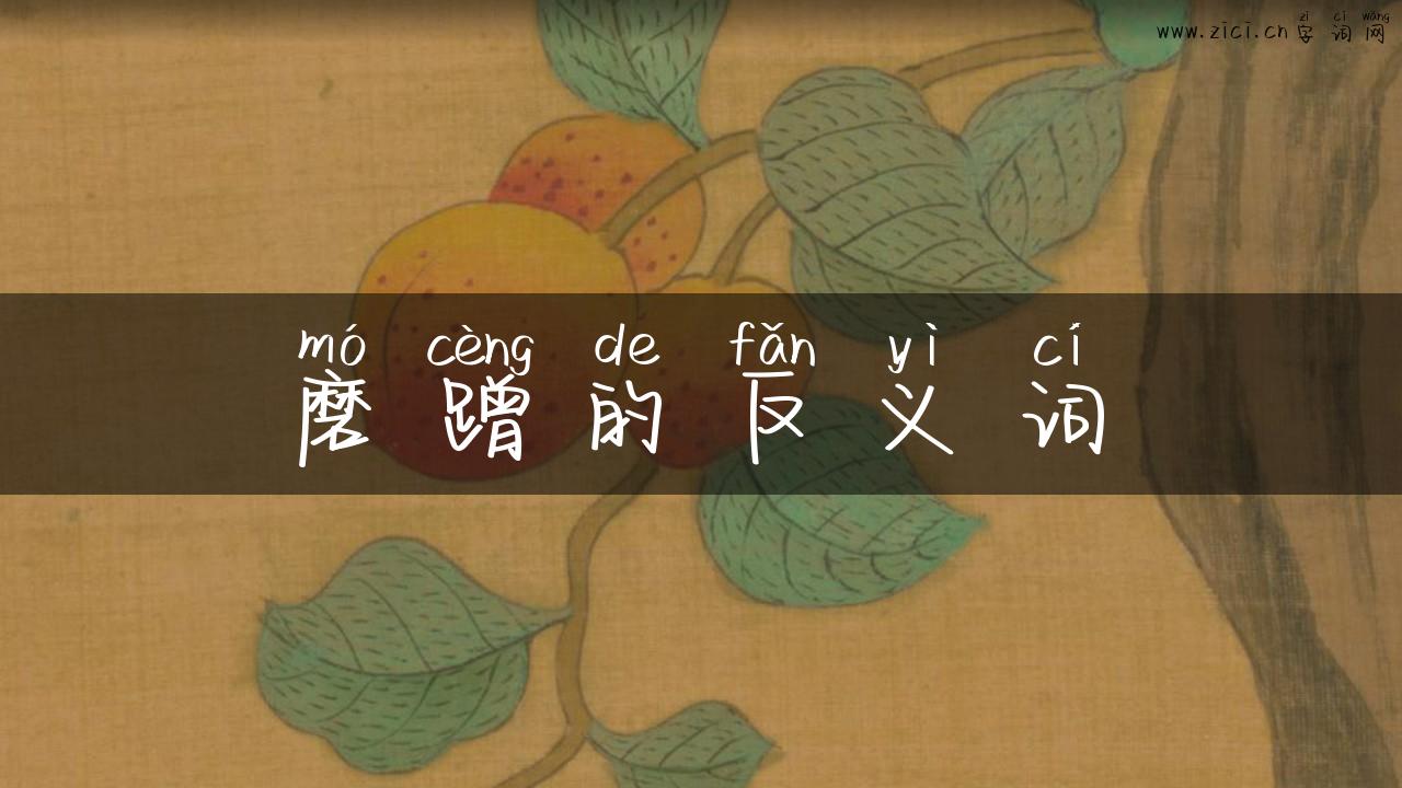 磨蹭的反义词
