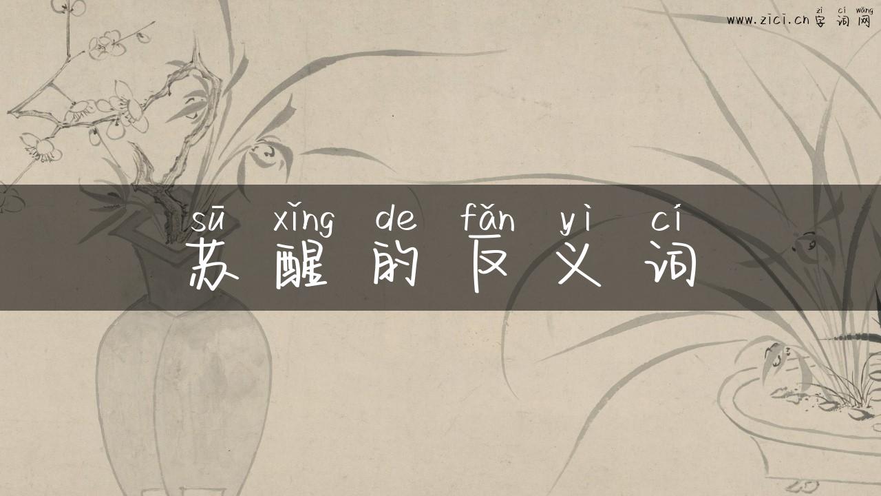 苏醒的反义词
