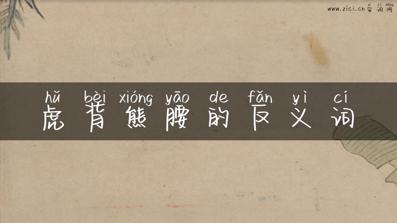 虎背熊腰的反义词