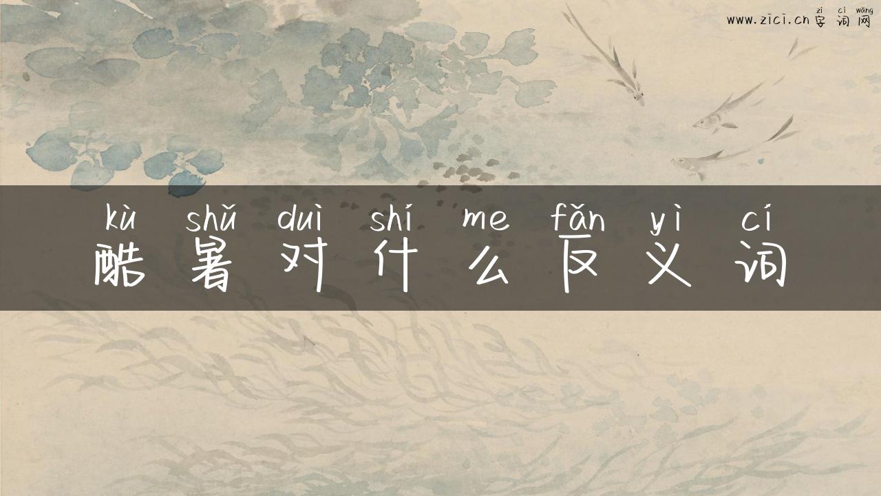 酷暑对什么反义词