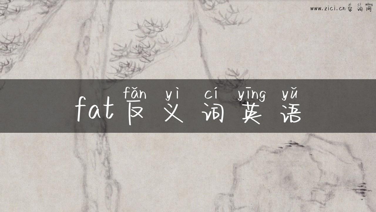 fat反义词英语
