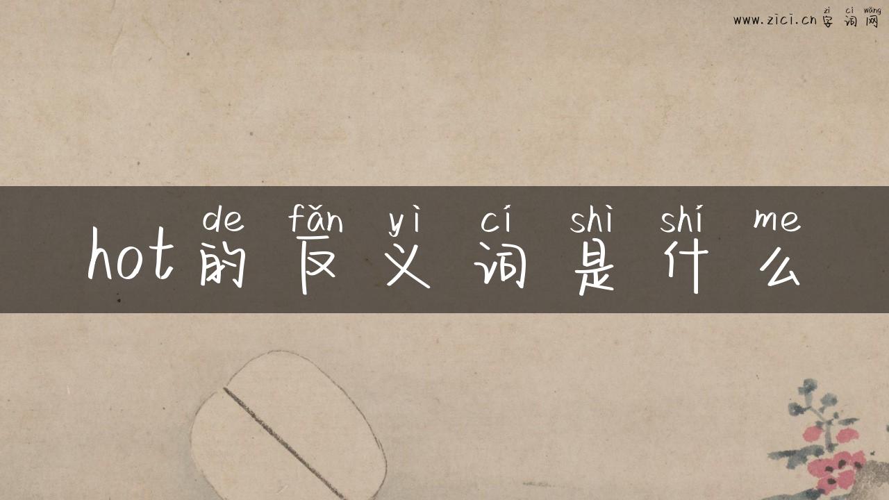 hot的反义词是什么