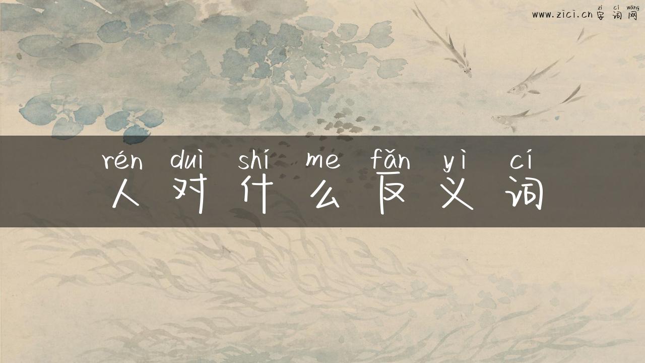 人对什么反义词