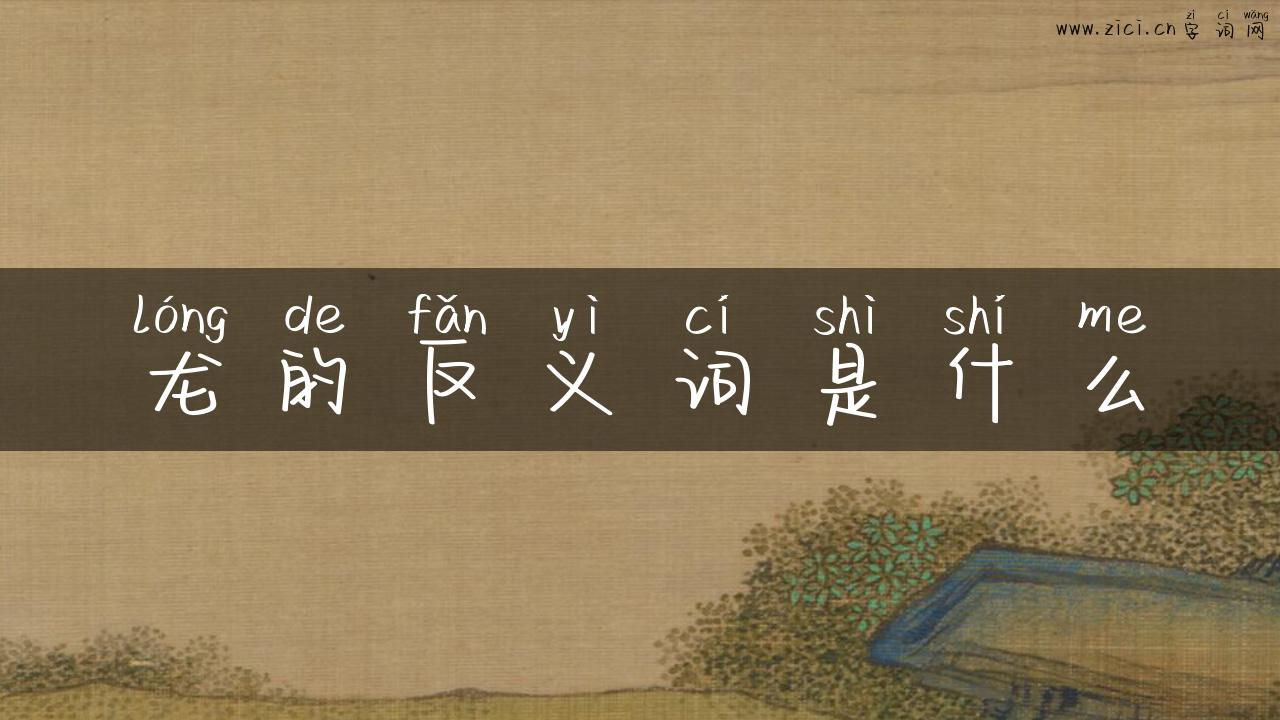 龙的反义词是什么